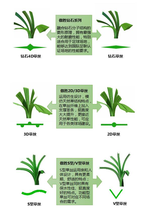 新澳门